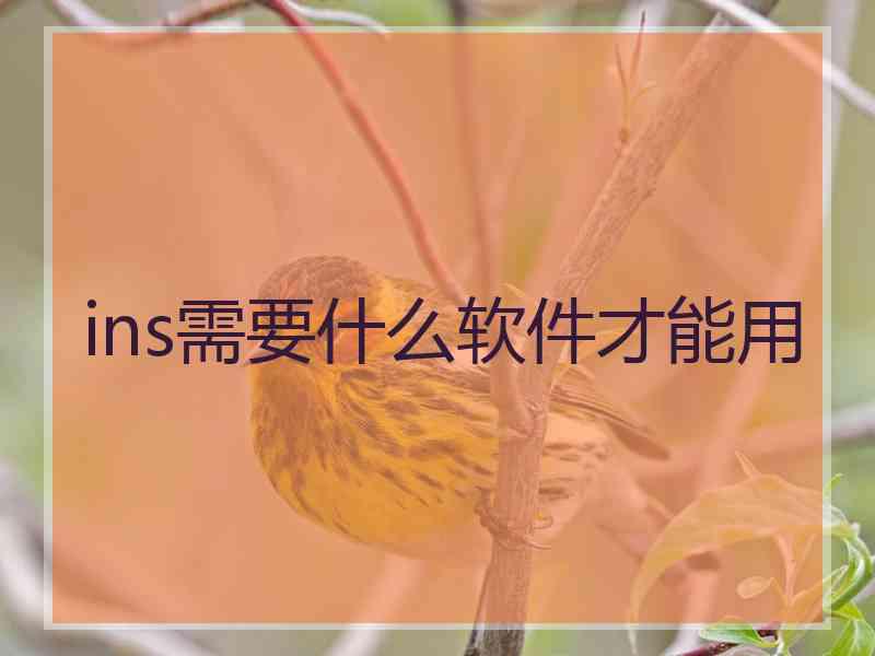 ins需要什么软件才能用