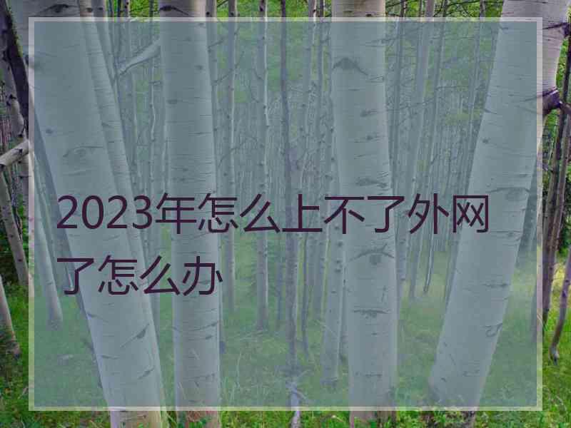 2023年怎么上不了外网了怎么办