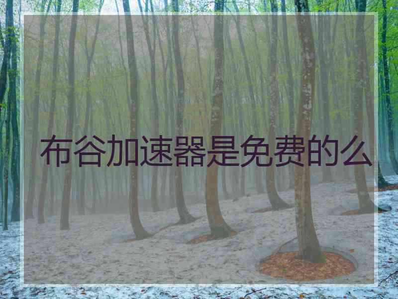 布谷加速器是免费的么