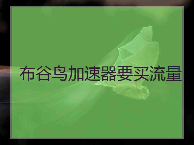 布谷鸟加速器要买流量