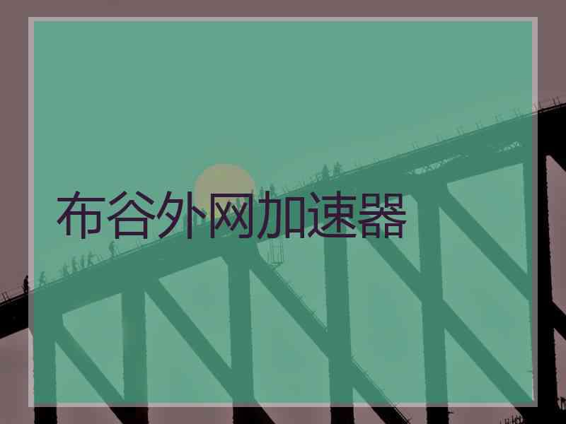 布谷外网加速器