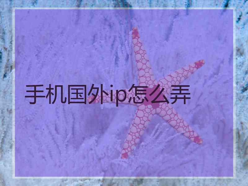 手机国外ip怎么弄