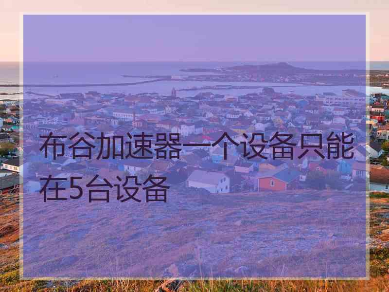 布谷加速器一个设备只能在5台设备