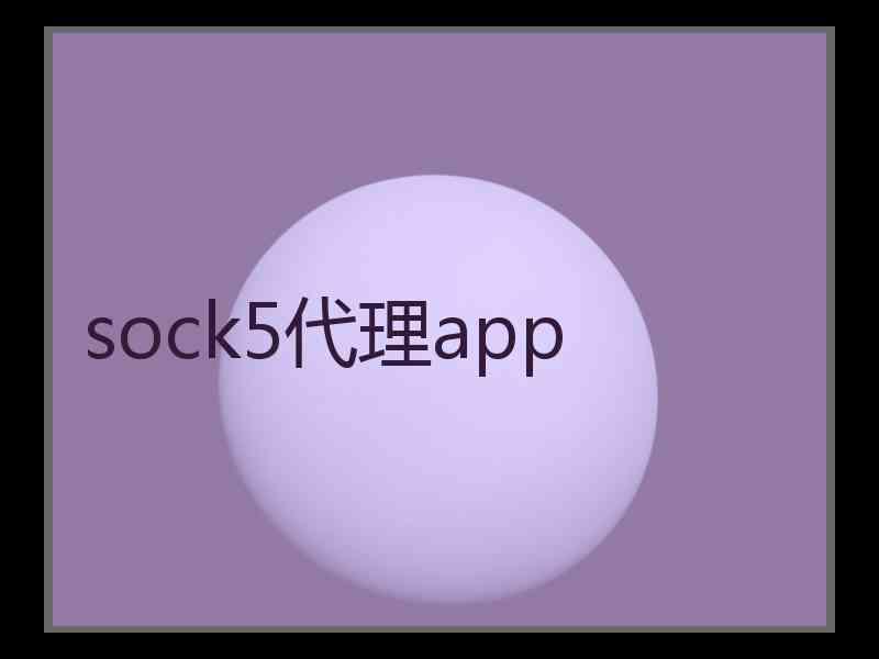 sock5代理app