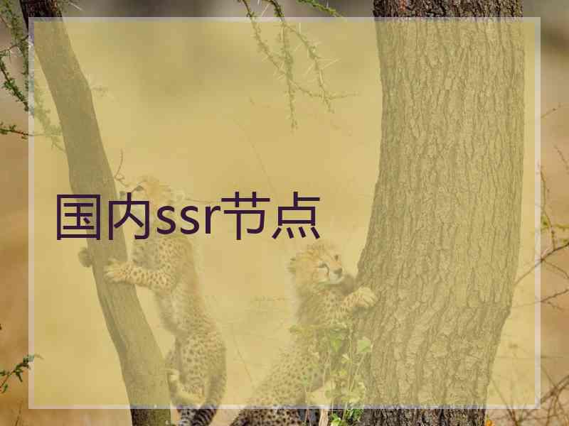 国内ssr节点