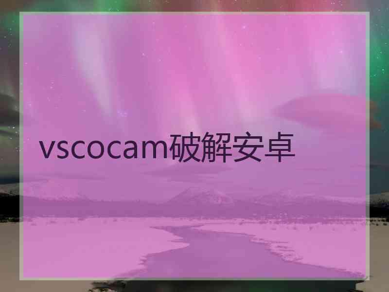 vscocam破解安卓