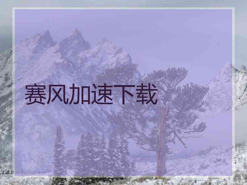 赛风加速下载