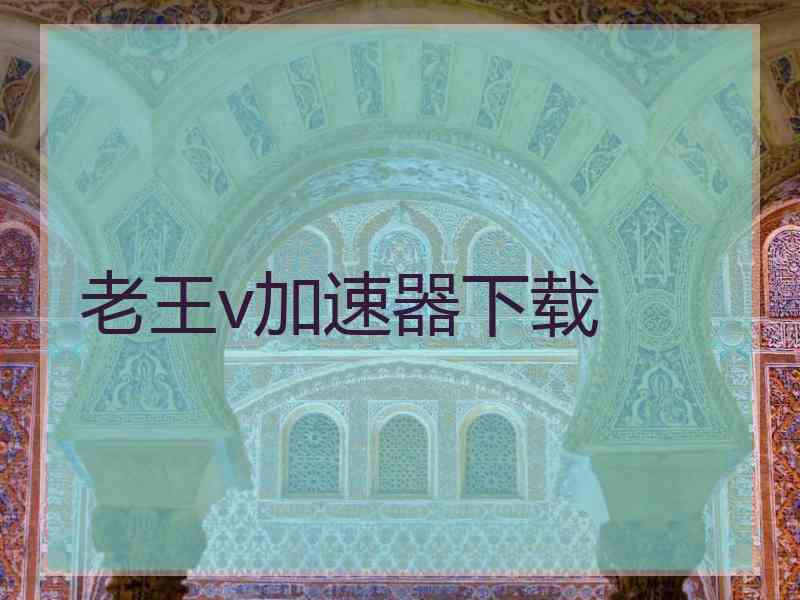 老王v加速器下载