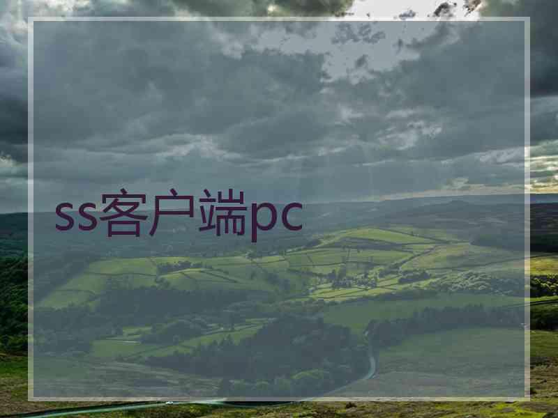 ss客户端pc