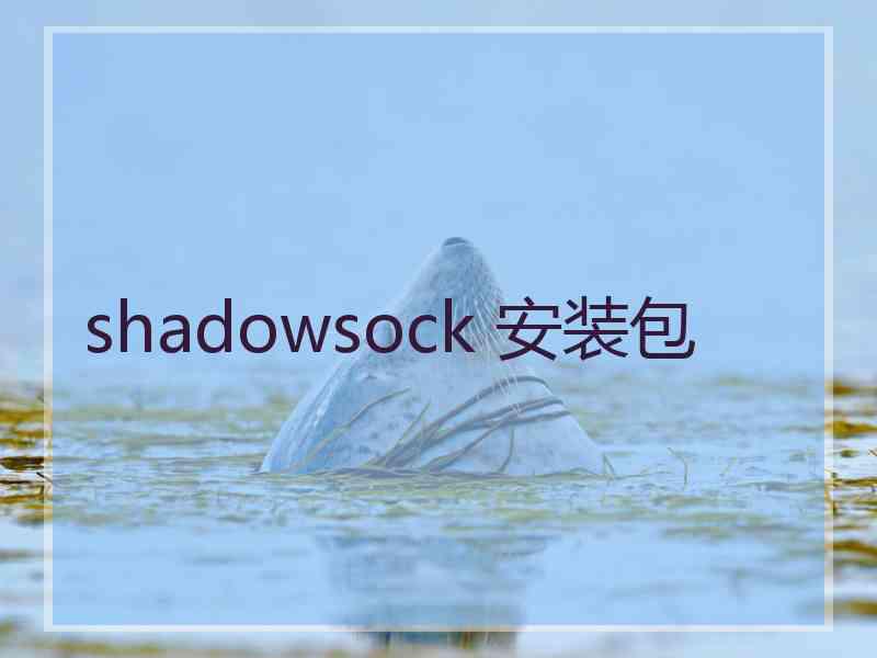 shadowsock 安装包