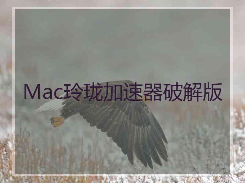 Mac玲珑加速器破解版