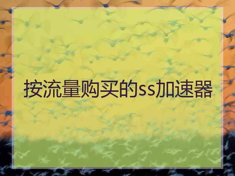 按流量购买的ss加速器