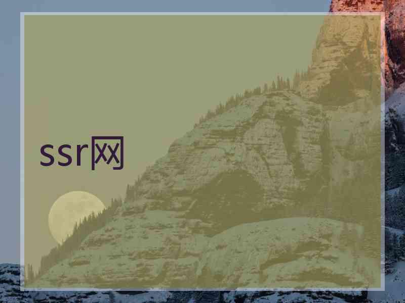 ssr网