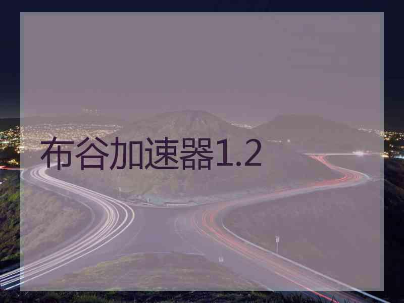 布谷加速器1.2