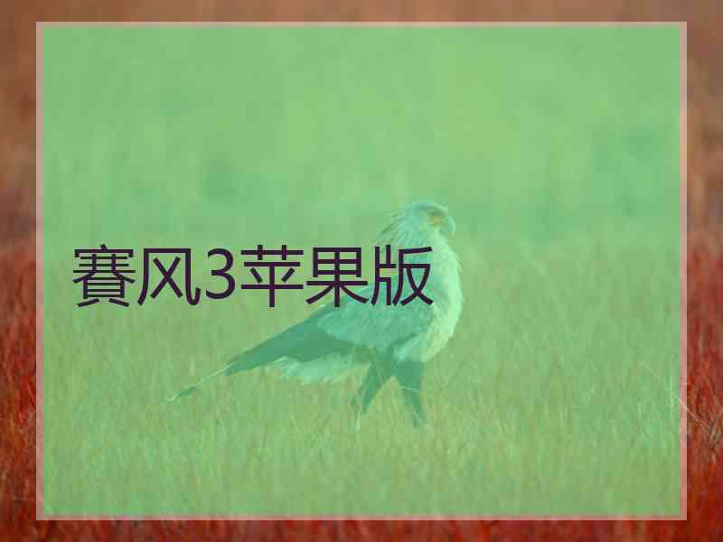 賽风3苹果版