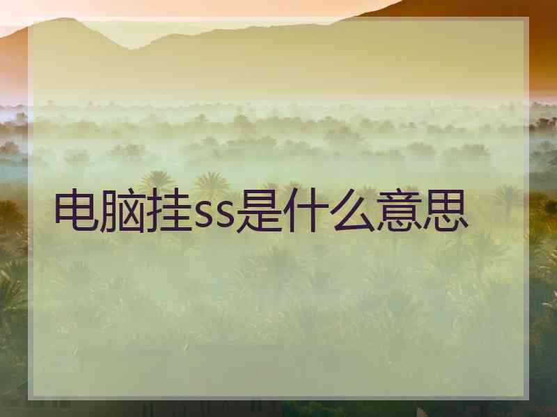 电脑挂ss是什么意思