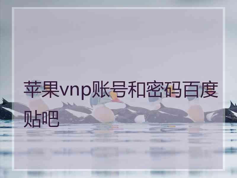 苹果vnp账号和密码百度贴吧