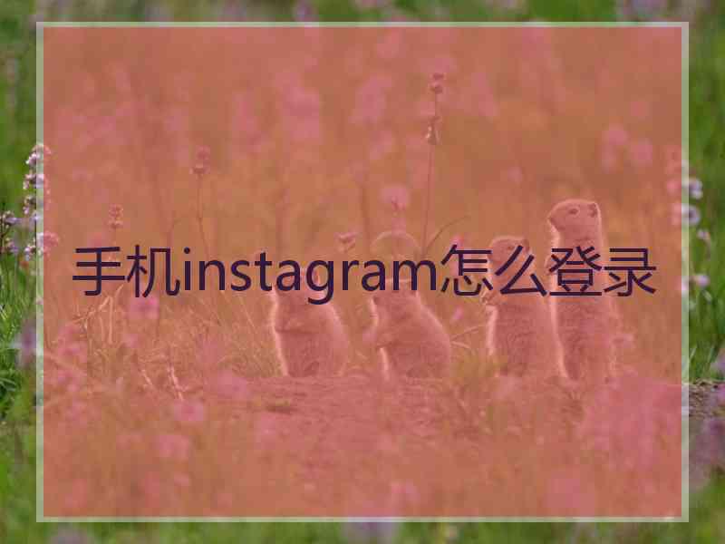 手机instagram怎么登录