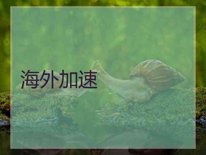 海外加速