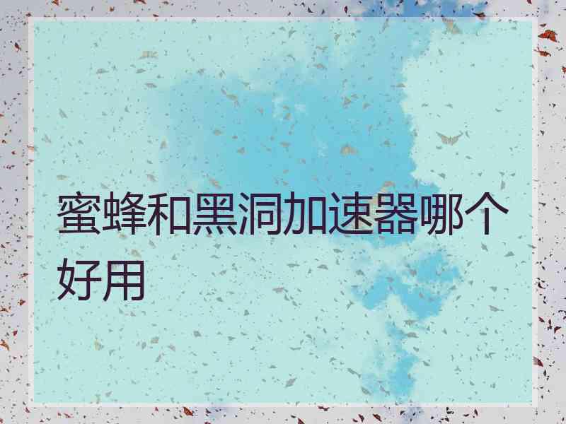 蜜蜂和黑洞加速器哪个好用