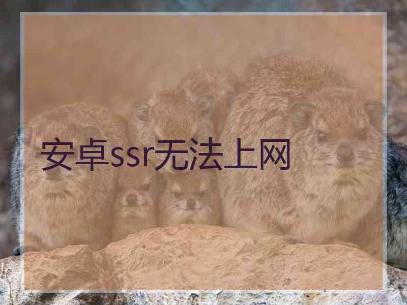 安卓ssr无法上网